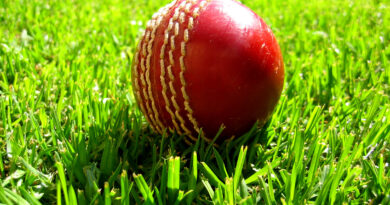 Red cricket ball resting on green grass