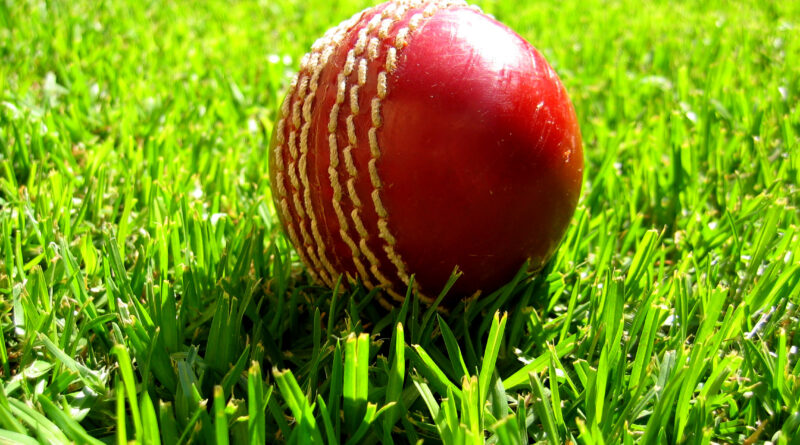 Red cricket ball resting on green grass